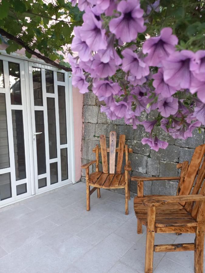 Apartments Stankovic & Boat Tours Virpazar Luaran gambar