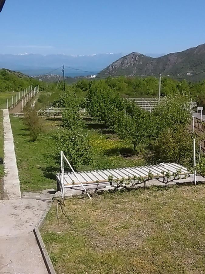 Apartments Stankovic & Boat Tours Virpazar Luaran gambar