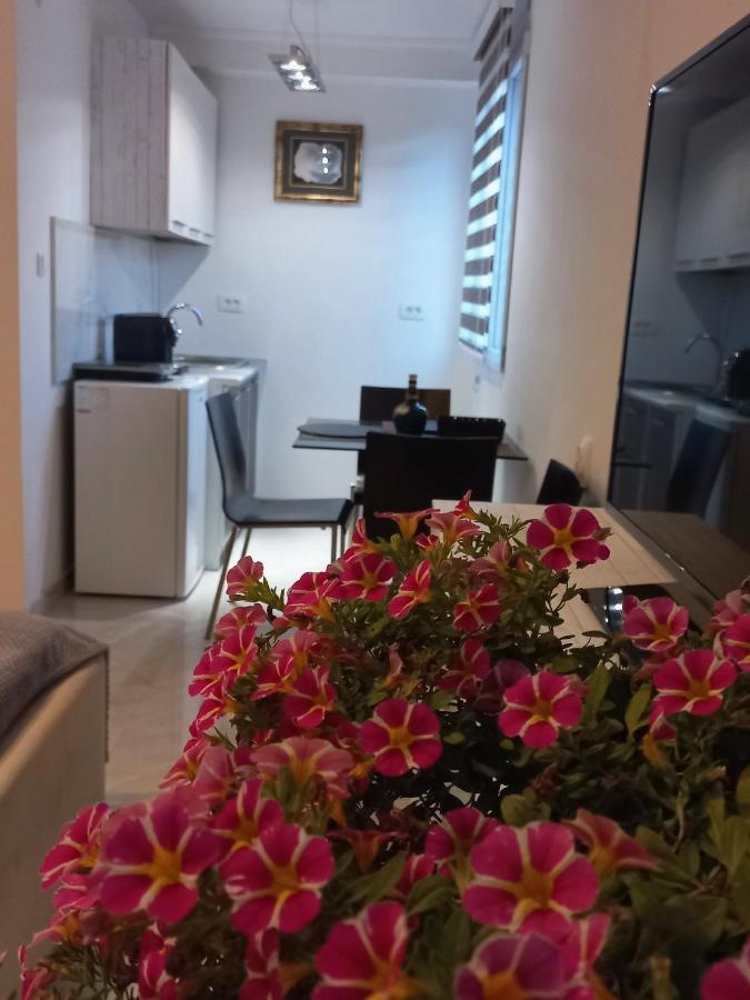 Apartments Stankovic & Boat Tours Virpazar Luaran gambar